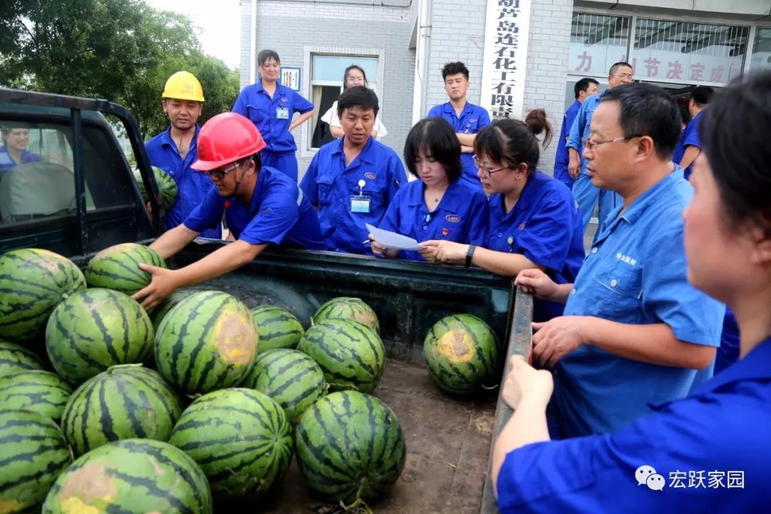 Lianshi Chemical Industry Trade Union Launches "Send Cool in Summer" Activity